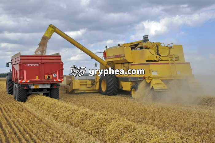 Moisson du Blé - moissonneuse-batteuse - gryphea.com